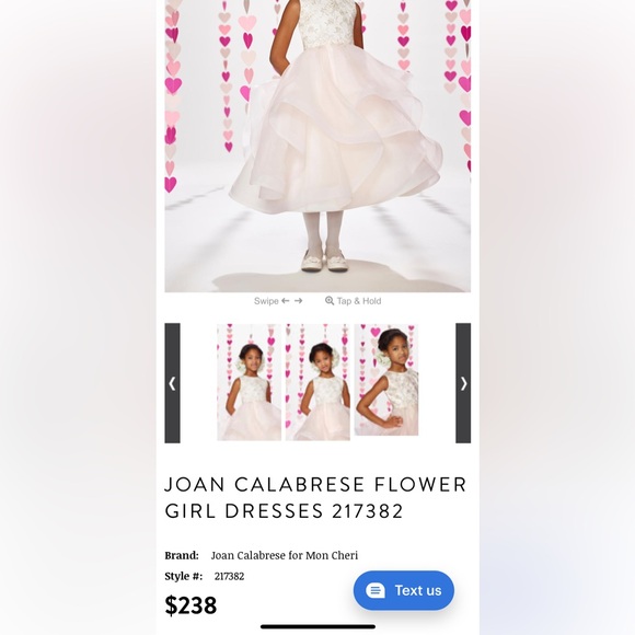 Joan Calabrese Flower Girl Dress, Ivory 2T/3T - Picture 6 of 6